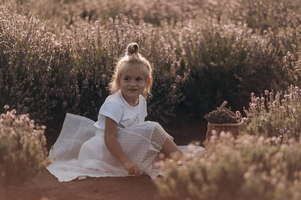 Kleines Mädchen Spaziert Und Spielt Mit Lavander Auf Dem Feld — Stockfoto