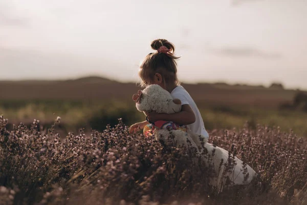 小女孩和薰衣草一起在田里散步和玩耍 — 图库照片