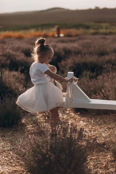 Kleines Mädchen Spaziert Und Spielt Mit Lavander Auf Dem Feld — Stockfoto