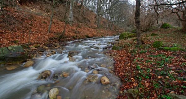 Río en bosque otoñal — Foto de Stock
