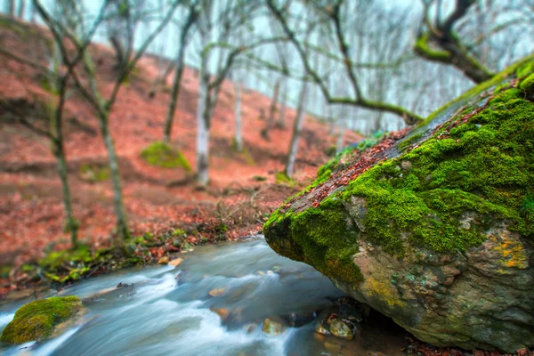 Rivier in herfst bos met grote mossy steen — Stockfoto