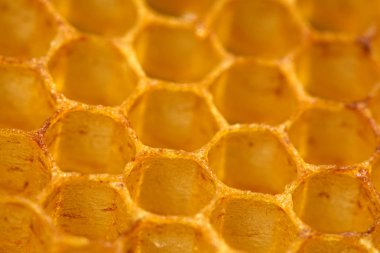 Petek balmumu hücre detay doku arka planı