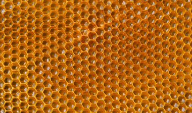 Petek balmumu hücre detay doku arka planı