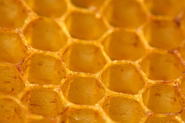 Honeycomb cera célula detalhe textura fundo — Fotografia de Stock