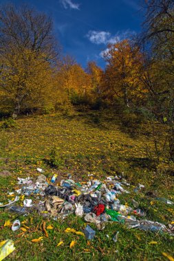 Çöplüğü ormandaki tedrisatlı, Ermenistan