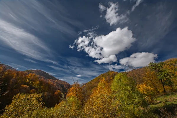 Осінній ліс під драматичні Синє небо з білі хмари, Діліжан, Вірменія — стокове фото