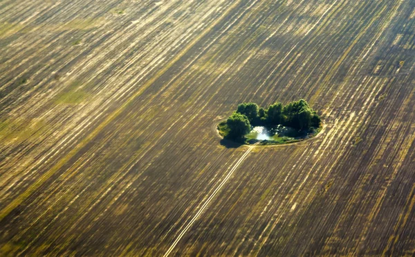 Yuvarlak oasis ve yol alanında, uçaktan görüntüleme — Stok fotoğraf