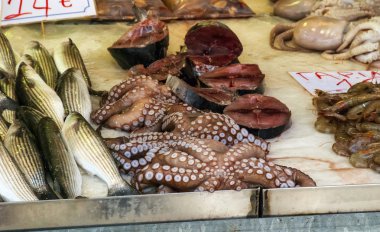 taze balık, ahtapot ve bir markette gördüm deniz ürünleri