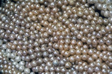 Tatlı su incileri arka plan, Hong Kong