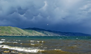 Clouds and  a gull over lake Sevan, Armenia clipart