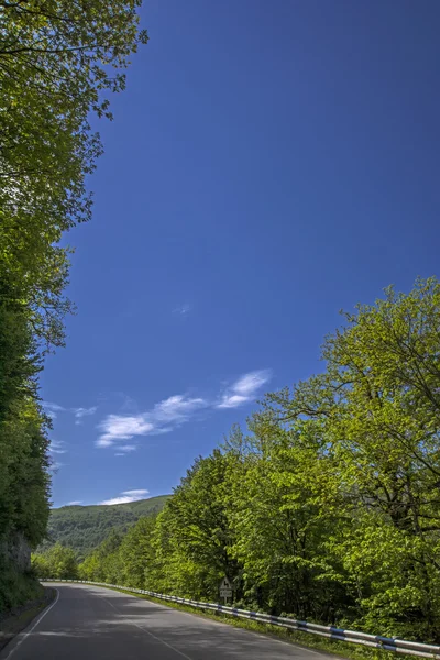 Pittoresca strada nelle montagne boscose vicino a Dilijan, Armenia — Foto Stock
