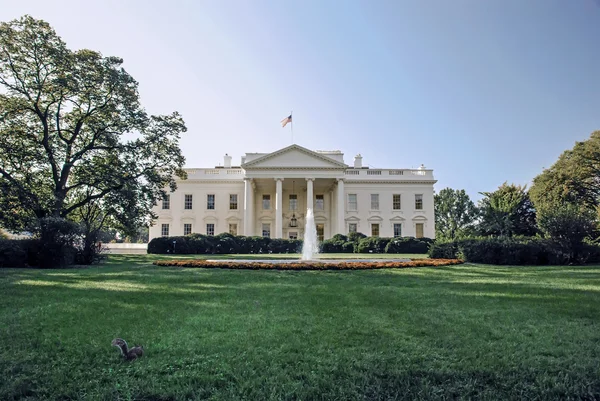 La Casa Blanca y el césped verde con ardilla — Foto de Stock