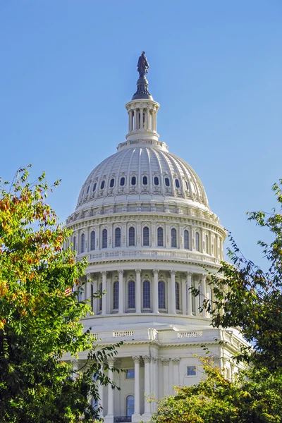 Cúpula del Capitolio de Estados Unidos Construyendo una rama legislativa del gobierno de Estados Unidos a través de los árboles. Washington DC, EE.UU. — Foto de Stock