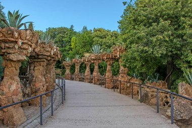 İspanya 'nın Barselona kentindeki ünlü Park Guell' de taş sütunlarda yeşil kaktüsler yetişiyor. Yeşil palmiye ağaçları, mavi gökyüzü, güzel bir arka plan. Perspektif görünümü
