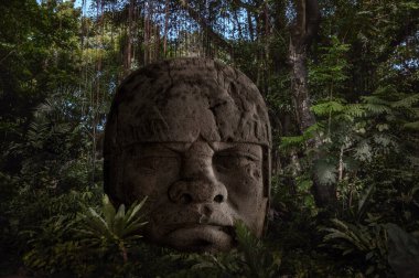 Meksika 'da bir yağmur ormanından oyulmuş devasa bir kafa. Ormandaki büyük, dramatik taş heykel