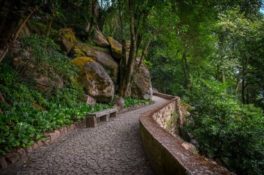 Portekiz, Sintra 'da yeşil bir peri masalı ormanının ortasında devasa yosun kaplı kayaları olan romantik, dolambaçlı bir yürüyüş yolu.