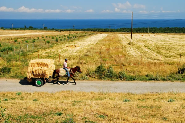 Farmer on a cart with a horse — Stock Image Farmer on a cart with a horse Royalty Free Stock Photos