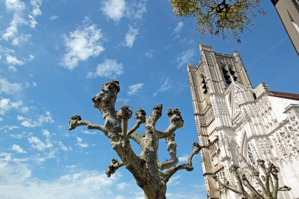 St Etienne Cathedral of Auxerre, between trees and clouds (Auxerre, Burgundy, France) — Stock Photo, Image