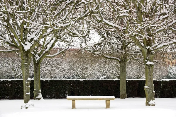 Bänk under snön omgiven av träd — Stockfoto