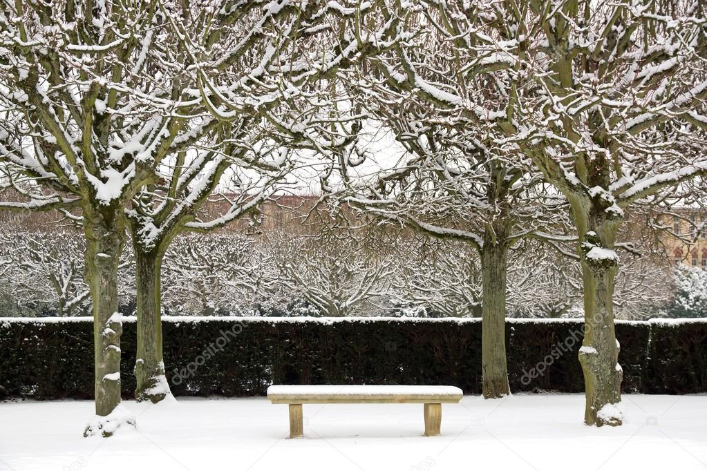 Bench under the snow surrounded with trees