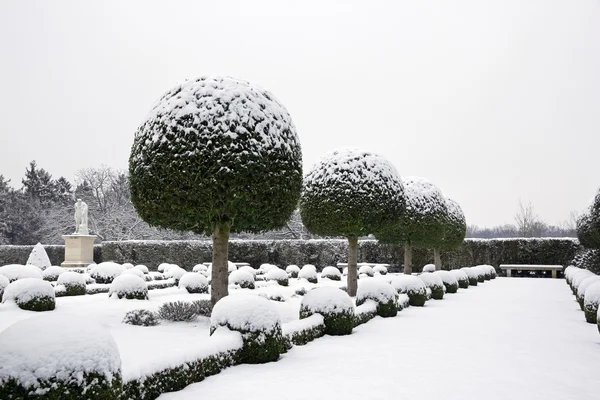 Garden of box tree and yews under the snow, antique statue (France) — Stock Photo, Image