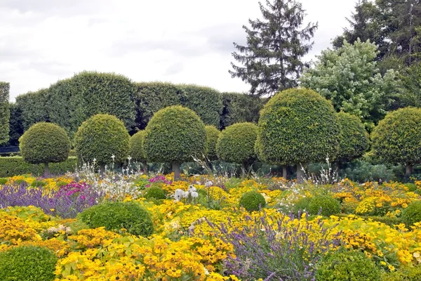 Jardin public de box tree et fleurs en été, lieu de promenade et de détente — Photo