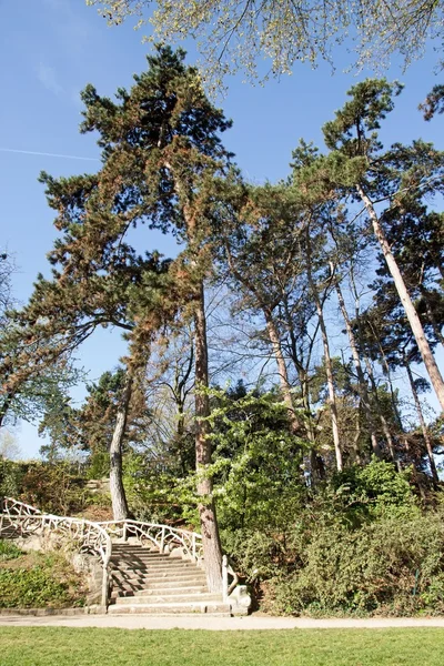 Blick auf den montsouris park, die treppe log (paris france) — Stockfoto