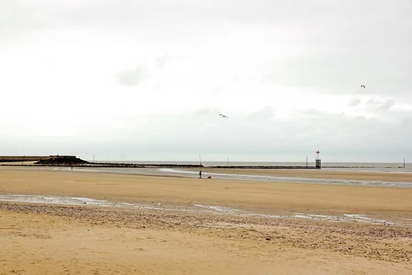 La spiaggia di Trouville in inverno (Normandia Francia). La passeggiata del cane — Foto Stock