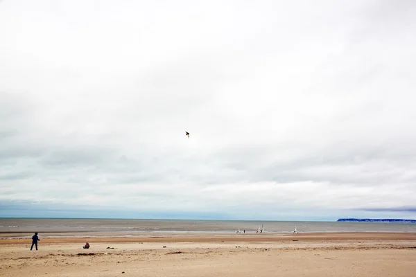 Kite en land ambachtelijke, winter strand van Trouville (Normandië Frankrijk) — Stockfoto