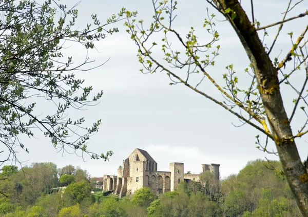 Castel Madeleine tra due alberi (Chevreuse Valley, Francia ) — Foto Stock