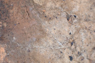 Sert taş duvar kâğıdı. Kum ve taşların ince dokusu.