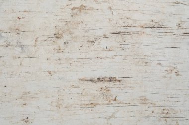 beyaz huş ağacı kabuğu makro arkaplan dokusu,