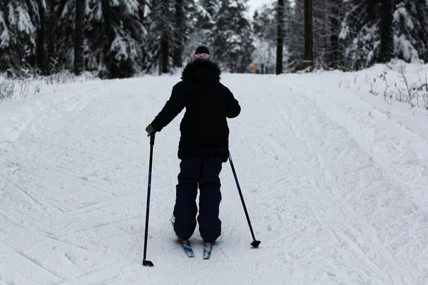 冬の森の中でスキーをし ロイヤリティフリーのストック画像