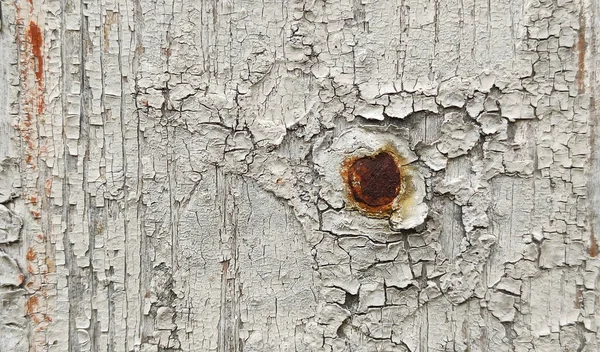 Único Prego Enferrujado Preso Uma Tábua Madeira Velha — Fotografia de Stock