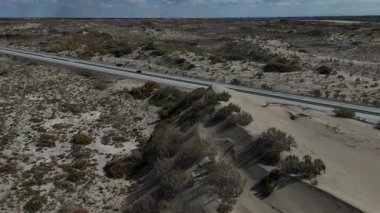 Turanga, Kazak halkı için eski ve kutsal bir kavak türüdür. Kuru ve aşırı koşullarda hayatta kalabilen dayanıklı bir ağaç..