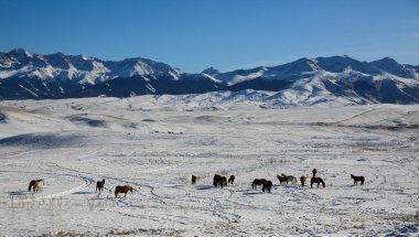Ushkonyr Platosu, Almaty 'ye 50 kilometre uzaklıkta ve batıdaki Uzyn Kargaly geçitleri ile doğudaki Şemalgan geçidi arasında yer alan yüksek bir zhailau' dur..