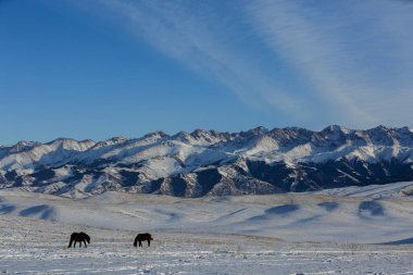 Ushkonyr Platosu, Almaty 'ye 50 kilometre uzaklıkta ve batıdaki Uzyn Kargaly geçitleri ile doğudaki Şemalgan geçidi arasında yer alan yüksek bir zhailau' dur..