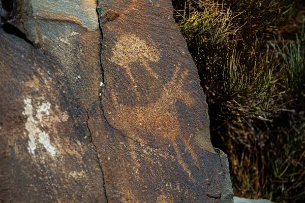 Tanbaly arkeolojik manzarasının petroglifleri 