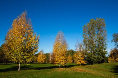 Golf kulübünde altın sonbahar