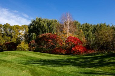 Golf kulübünde altın sonbahar
