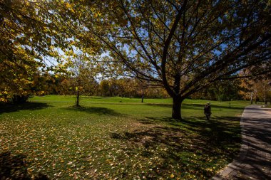 İnsanlar Almaty, Kazakistan 'da sonbahar günü golf oynarlar. 10, 17 2019.