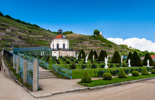 Wackerbarth Castle yard and vinery — Stock Photo, Image