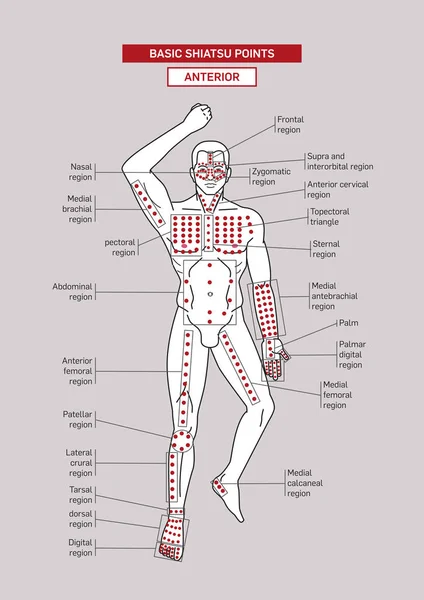 Basis Shiatsu Acupressuurpunt Vooraanzicht Mannelijk Lichaam — Stockvector