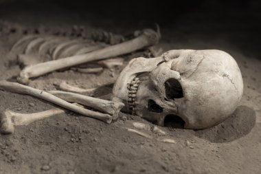 skeleton with skull clipart