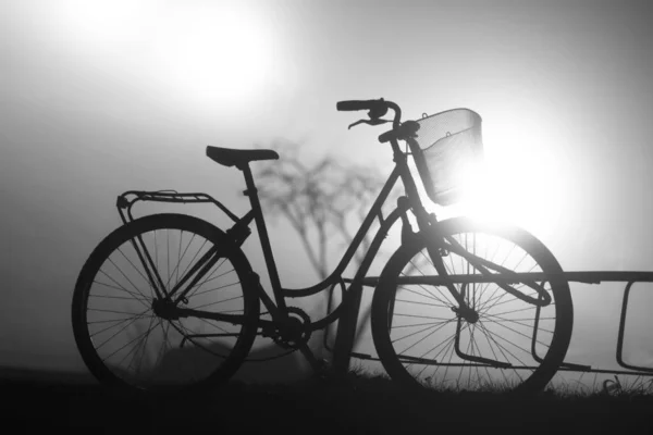 Back Lit Silhouette Bike Bicycle Stand Foggy Night — Stock Photo, Image