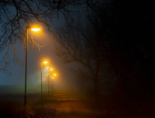 Gångväg Parkområde Med Lyktstolpar Dimmig Höstkväll Med Bara Träd — Stockfoto