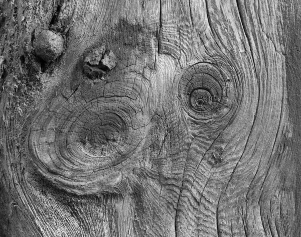 Primo Piano Monocromatico Legno Antico Annodato — Foto Stock