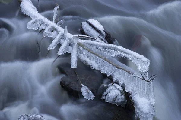 冬の川の氷の結晶で覆われた木の枝 長い露出 — ストック写真