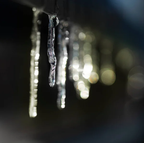 Icicles Reflecting Sunlight Row — Stock Photo, Image