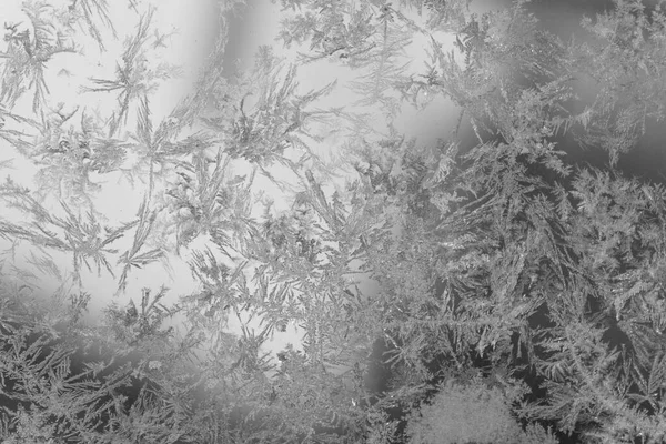 Монохромні Кристали Льоду Падають Візерунок Склі — стокове фото